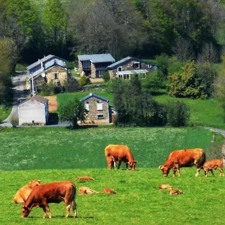 Violette Vakantiehuis Saint-Pierre-de-Trivisy