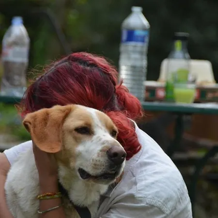 Vakantiehuis Violette