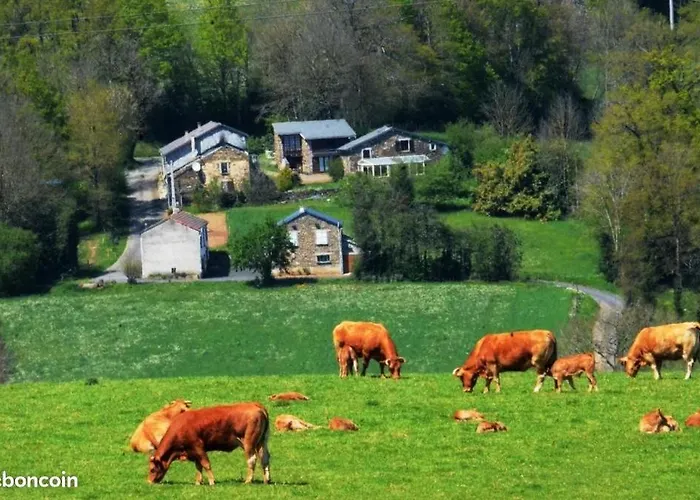 Violette Nyaraló Saint-Pierre-de-Trivisy